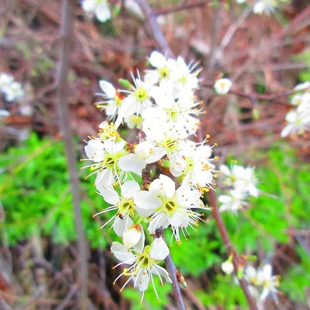 Julius A Agnes Obec 248 Apartman